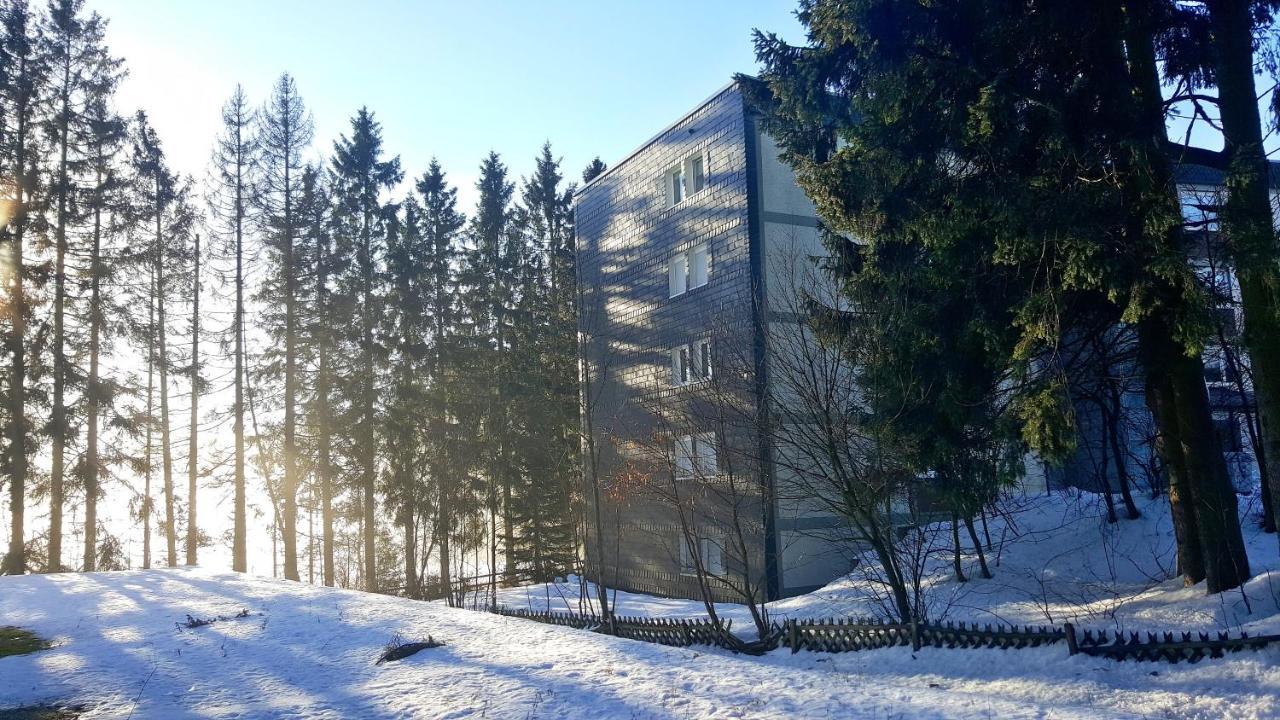 Ferienappartement Winterberg - Bikepark Um Die Ecke Esterno foto